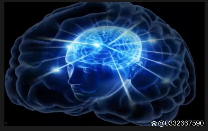 某当红女星深夜发文暗示退圈，粉丝集体崩溃